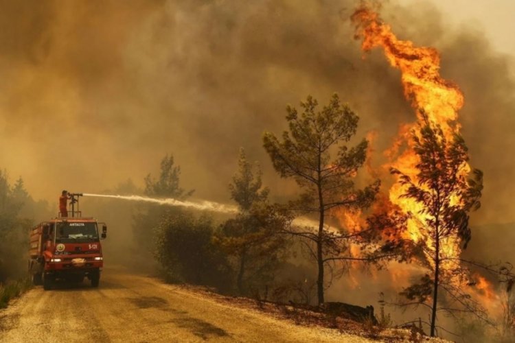 Yunanistan: Ülkemizdeki yangınlara rağmen Türkiye'ye yardım teklifimiz halen geçerli
