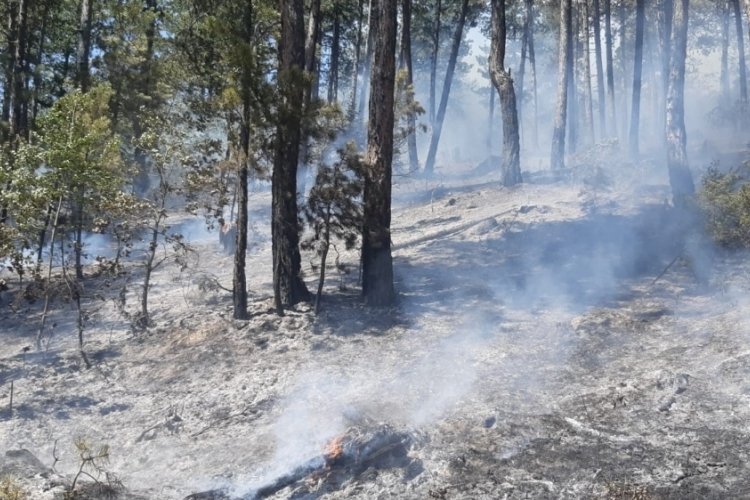 Kastamonu'da &ccedil;ıkan orman yangını kontrol altına alındı