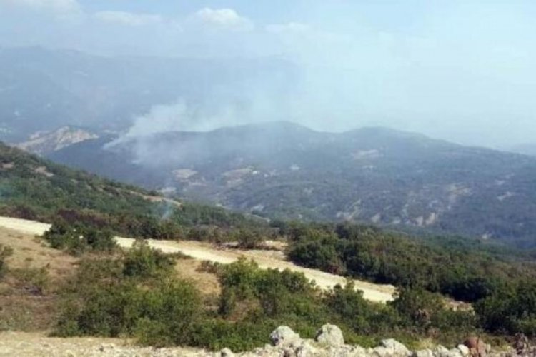 Tunceli'de ormanın 2 gün yandığı bölgede soğutma çalışması