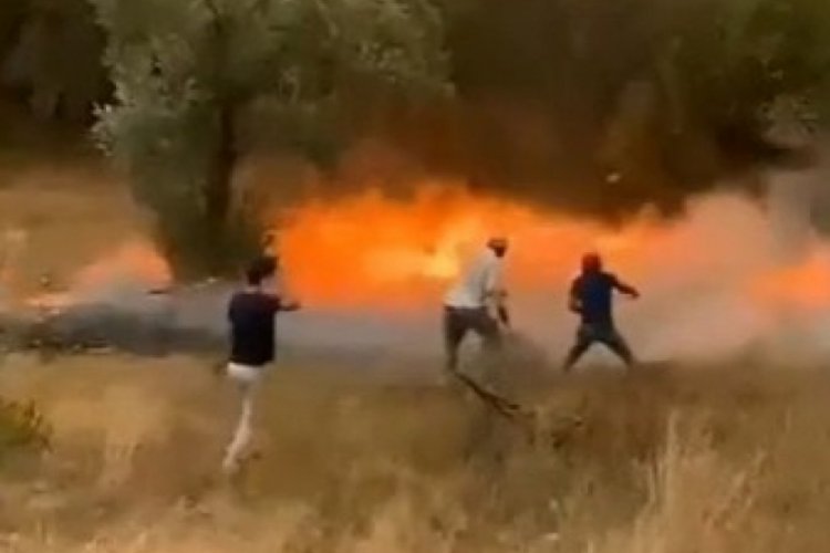Patlayan kozalaklar saniyeler i&ccedil;inde yangını b&uuml;y&uuml;tt&uuml;