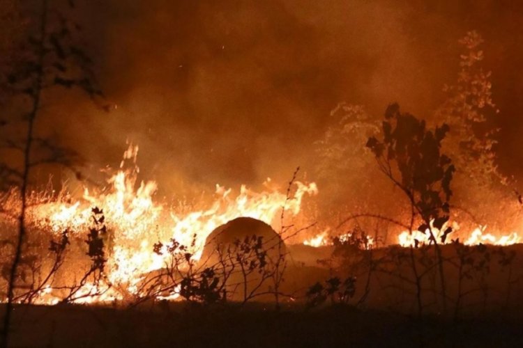 Kuzey Makedonya da yanıyor!