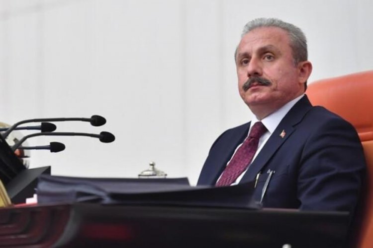 TBMM Başkanı Şentop: Yangınların biri bile kasıtlı &ccedil;ıkarılmışsa devletimiz yakılan bir dalın dahi hesabını sorar