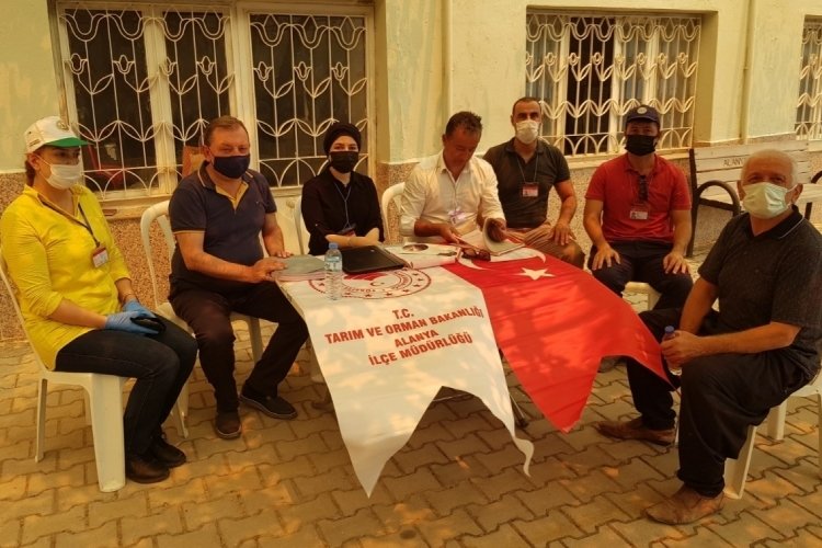 Yangın bölgesinde hasar tespit çalışmasına başlandı