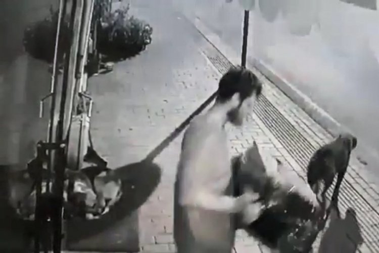 Bursa'da hırsızlık ş&uuml;phesiyle 2 kişi tutuklandı