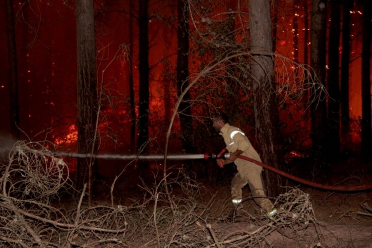 Orman yangınlarında son durum: 160 yangın kontrol altına alındı