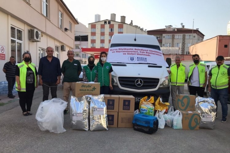 Bursa Büyükşehir Belediyesi'nden yangın bölgesindeki hayvanlar için gıda ve ilaç yardımı