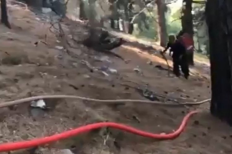 Orman yangınlarında yaşlı gen&ccedil; demeden canla başla!