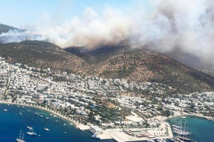 Bodrum Mumcular'daki yangında 3 kişi tutuklandı!