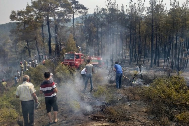 Muğla Kavaklıdere'de g&ouml;n&uuml;ll&uuml;lerin desteğiyle kontrol altına alındı