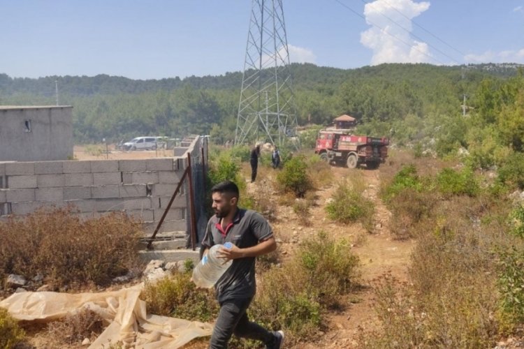Alanya'da meydana gelen yangın müdahale sonucu söndürüldü