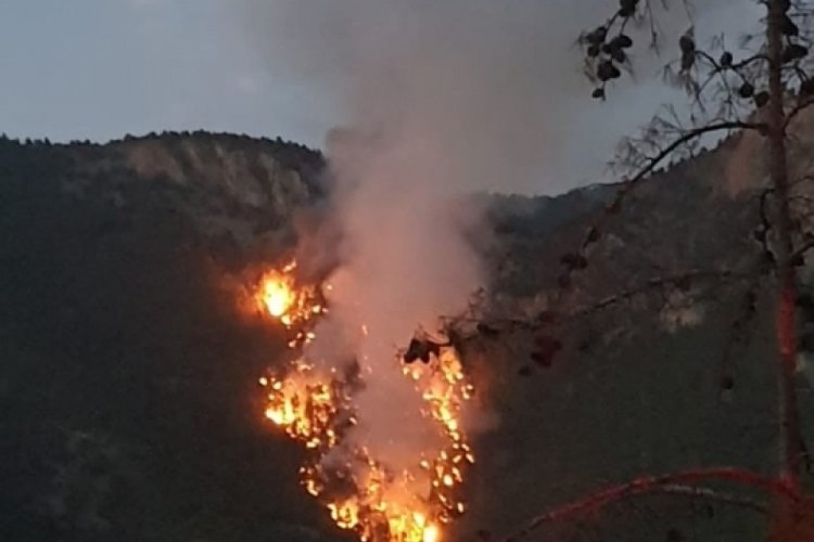Adana'da yıldırım d&uuml;şt&uuml;, orman yangını &ccedil;ıktı
