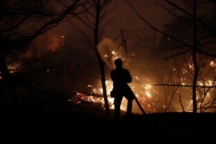 TTB'den orman yangınlarından kaynaklanan dumanlarla ilgili uyarı: Göğüs ağrısı, çarpıntı...