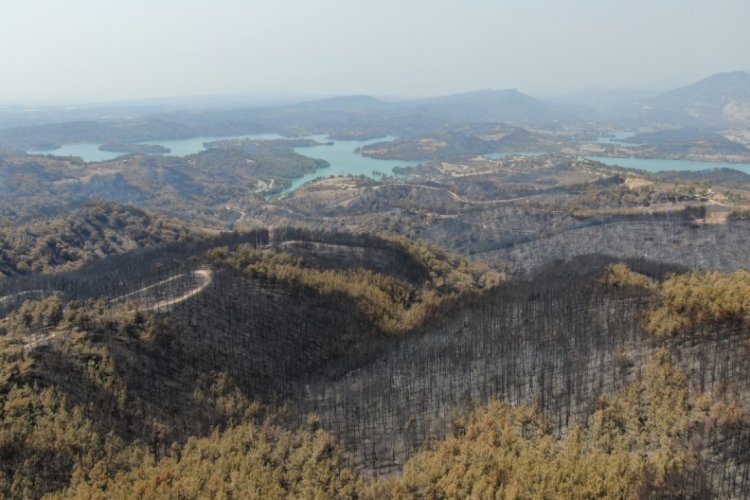 Yangınlarla m&uuml;cadelede 10'uncu g&uuml;n! İşte son durum...