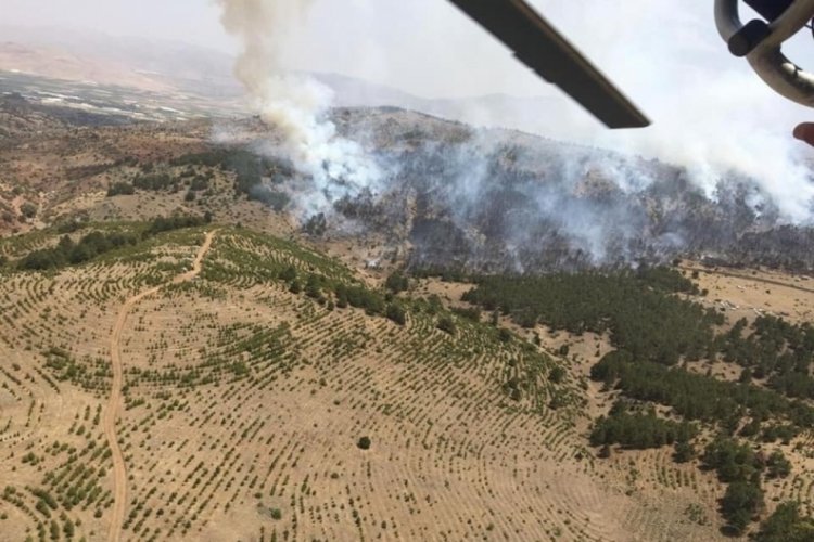 Burdur'daki yangın kontrol altına alındı