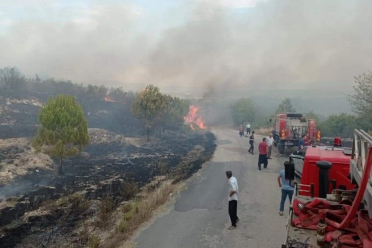 Kahramanmaraş'ta yıldırım d&uuml;şmesi sonucu orman yangını &ccedil;ıktı