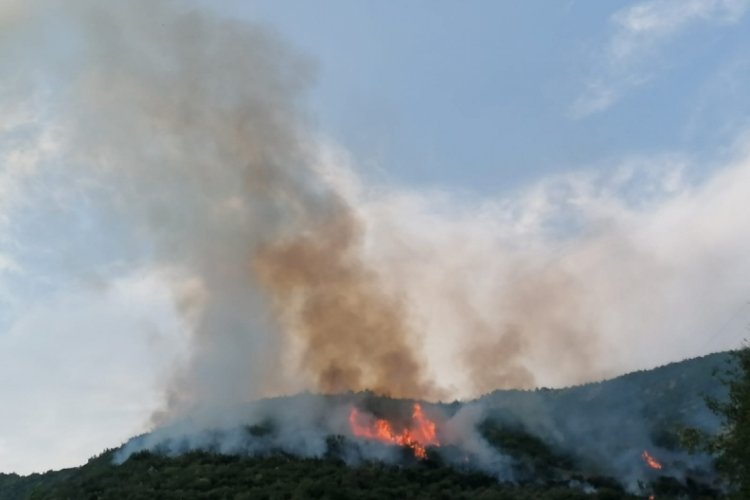 Osmaniye'deki yangın kontrol altına alındı