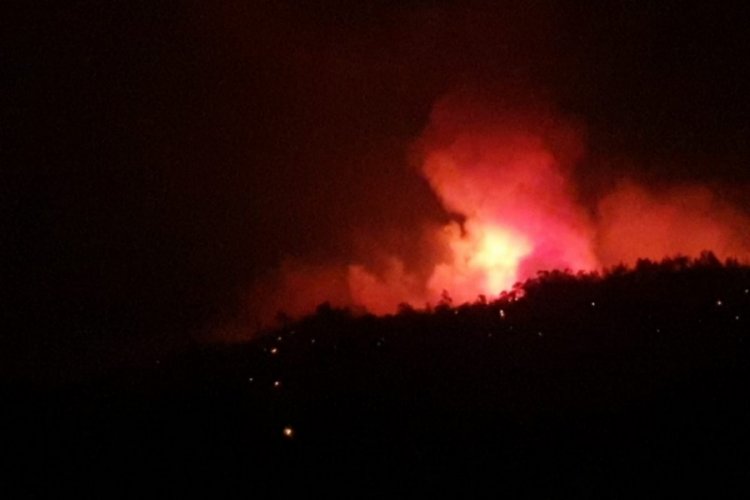 Bakan Pakdemirli, yangınlara ilişkin son verileri paylaştı