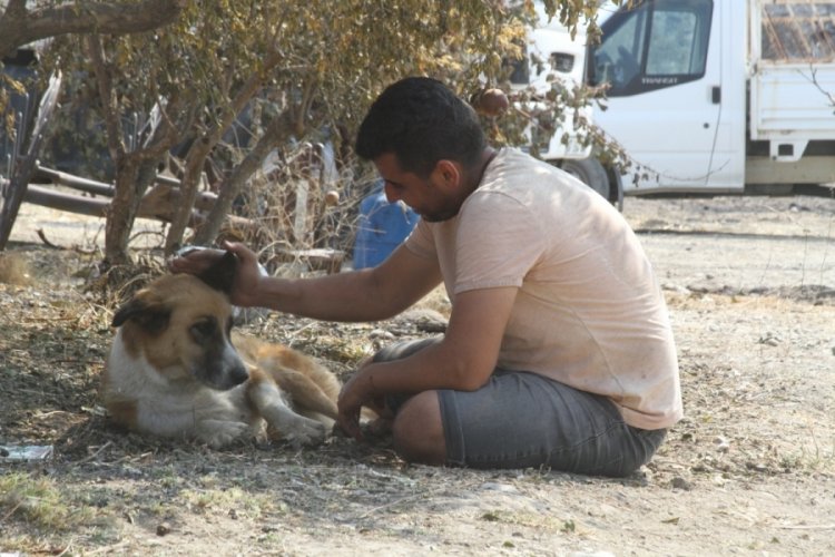 Yangında kaybolan k&ouml;peğine 4 g&uuml;n sonra kavuştu