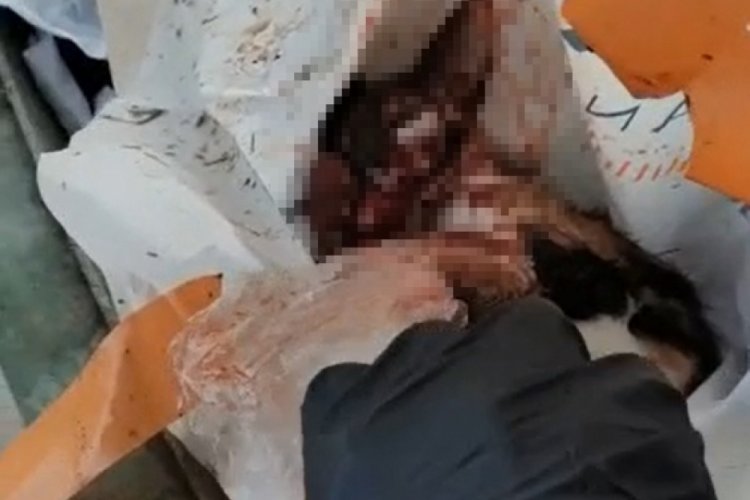 Bursa'da vahşet! G&ouml;z&uuml;n&uuml; oyup &ccedil;&ouml;pe attılar