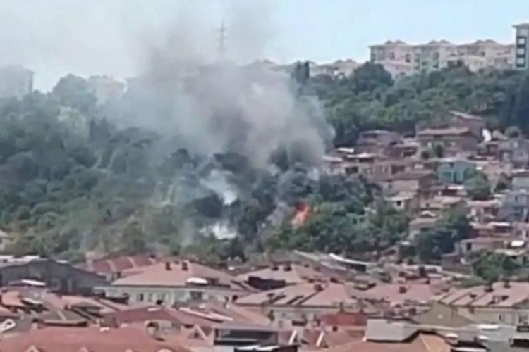 &Ccedil;atalca'da ağa&ccedil;lık alanda yangın &ccedil;ıktı!