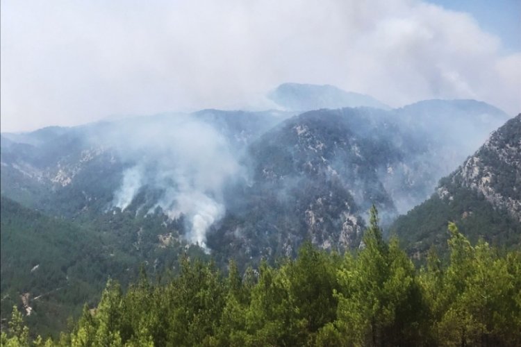 Muğla K&ouml;yceğiz yangınına 4 u&ccedil;ak ve helikopter m&uuml;dahale ediyor