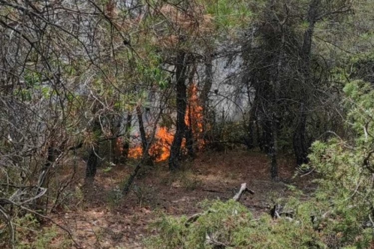 Bilecik'te yıldırım d&uuml;şmesi sonucu yangın &ccedil;ıktı