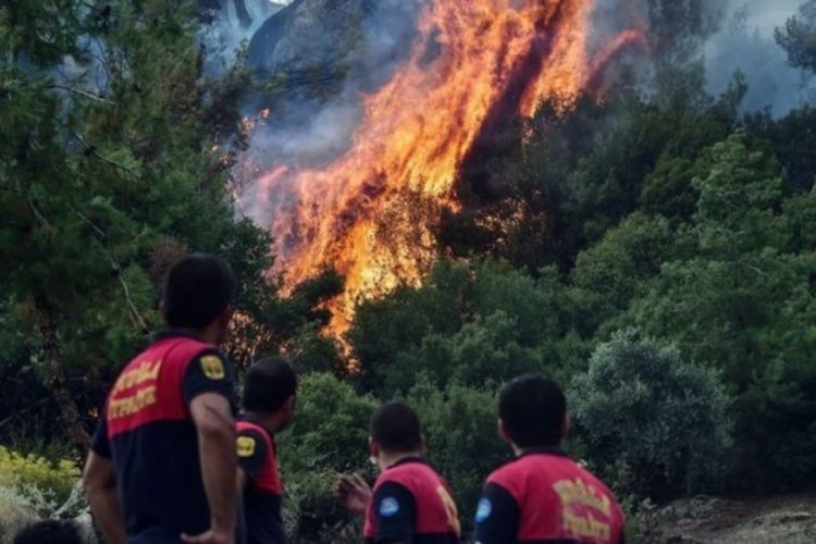 T&uuml;rkiye'deki orman yangınlarında son durum!