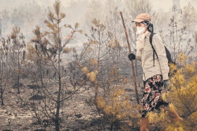 Yangın b&ouml;lgesindeki kadınların amansız m&uuml;cadelesi