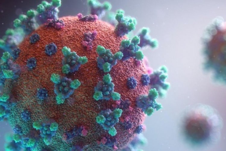 Koronavir&uuml;ste s&uuml;per mutant uyarısı