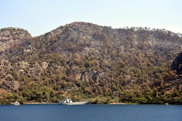 Marmaris yangınları kontrol altına alındı: Acı bilan&ccedil;o...