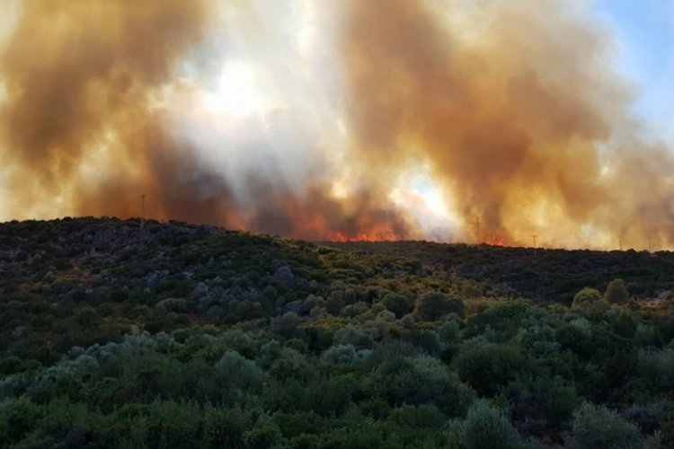 Muğla'daki yangınlara m&uuml;dahaleler devam ediyor