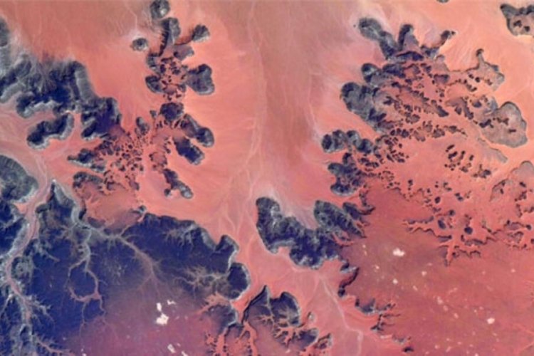 NASA astronotu Shane Kimbrough: Burası Mars değil D&uuml;nya!