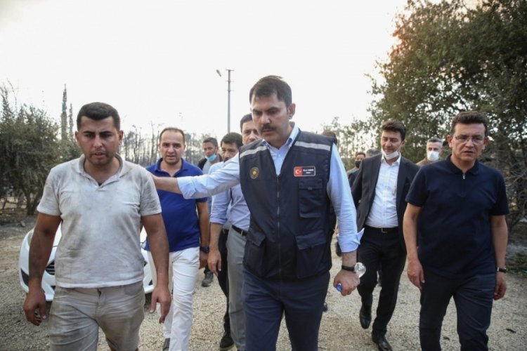 Manavgat'ta yangın b&ouml;lgesinde yaralar sarılmaya başlandı