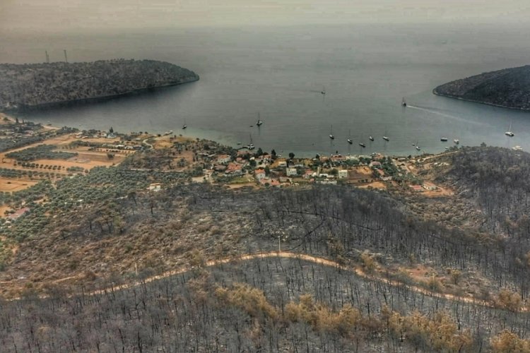 Bodrum ve Milas'ta yanan ormanlar havadan g&ouml;r&uuml;nt&uuml;lendi