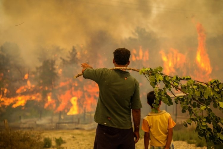 Antalya'daki yangında bir kişi tutuklandı