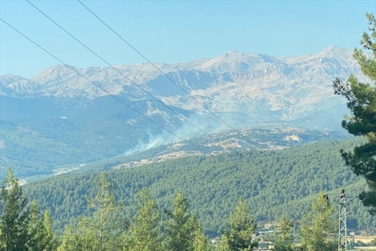 Antalya Kaş'taki yangın kontrol altına alındı