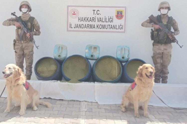 Hakkari'de 318&nbsp;kilo esrar ele ge&ccedil;irildi