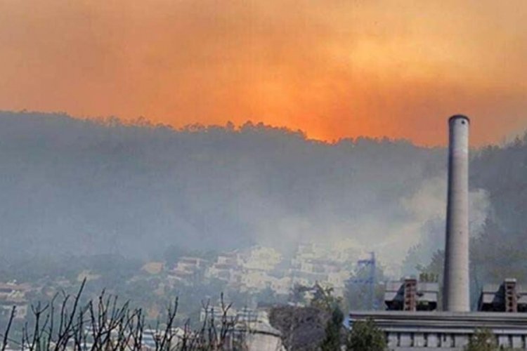 Muğla yangınında 12. g&uuml;n! Milas ve K&ouml;yceğiz'de yangın devam ediyor