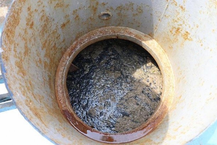 M&uuml;silajın varlığı devam ediyor! "Koruma alanı ilan edilmeli"