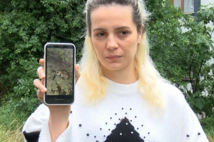 Kedilere k&uuml;rekle saldırarak &ouml;ld&uuml;rm&uuml;şt&uuml;! Cani su&ccedil;unu itiraf etti
