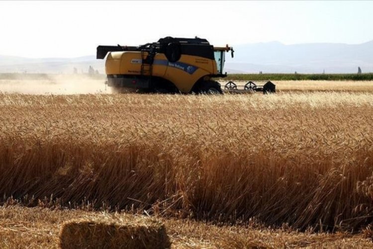 K&uuml;resel iklim değişikliğinden kaynaklanan riskler hububat &ccedil;eşitleri ile azaltılacak!