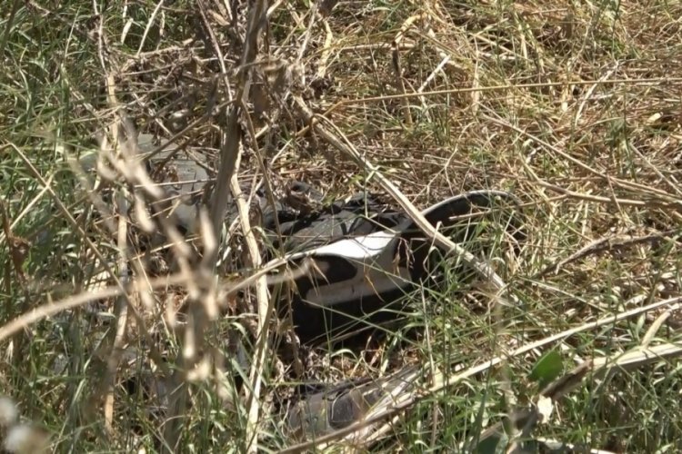 Bursa'da yol kenarında erkek cesedi bulundu