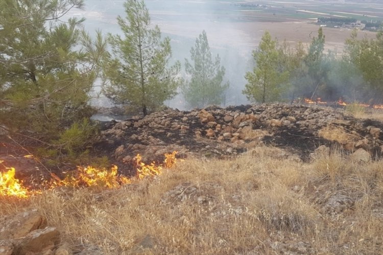 Gaziantep'te yıldırım d&uuml;şmesi sonucu orman yangını meydana geldi