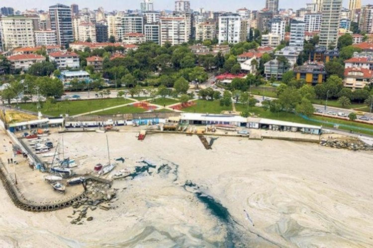 Yeni tehlike: Koloniyal m&uuml;silaj