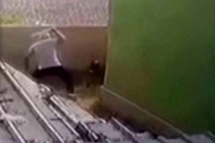 İstanbul'da g&ouml;z&uuml; d&ouml;nm&uuml;ş adam k&ouml;peği vahşice d&ouml;vd&uuml;