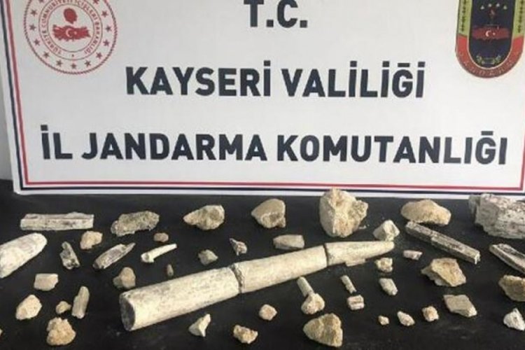 Kayseri'de fosil kalıntılara baskın!