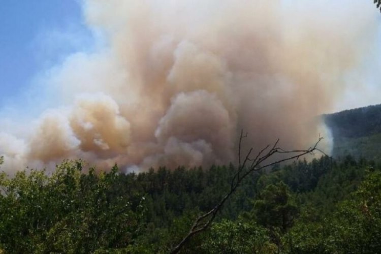 Burdur'da orman yangını! Kısa s&uuml;rede yayıldı