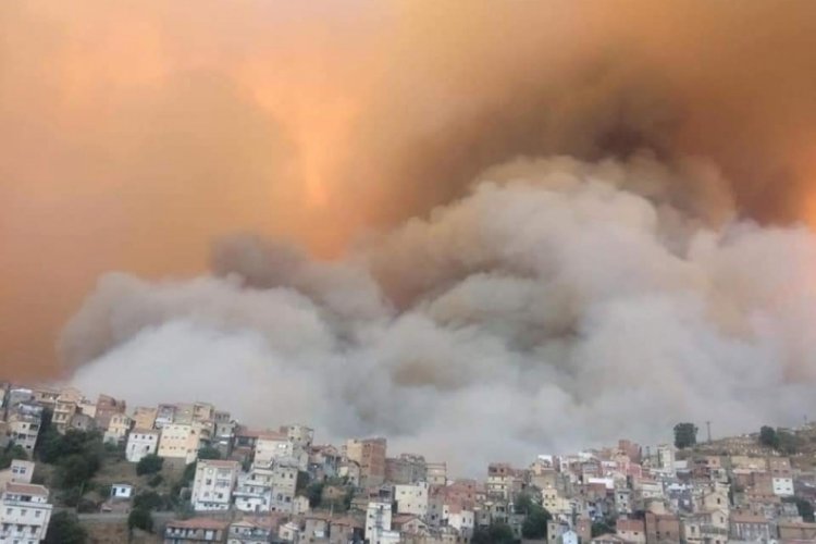 Cezayir'de yangında &ouml;lenlerin sayısı 65'e y&uuml;kseldi