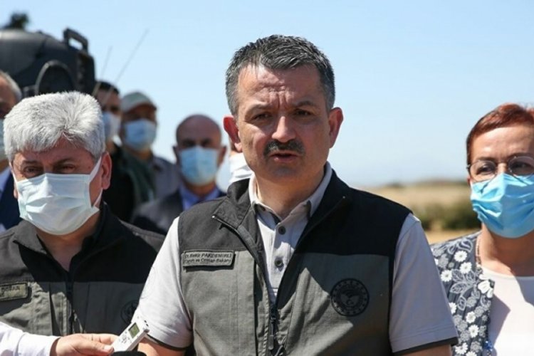 Bakan Pakdemirli: Yangın tehlike arz ediyor