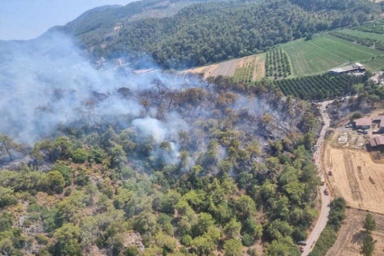 K&ouml;yceğiz yangını 2 hafta sonra kontrol altına alındı